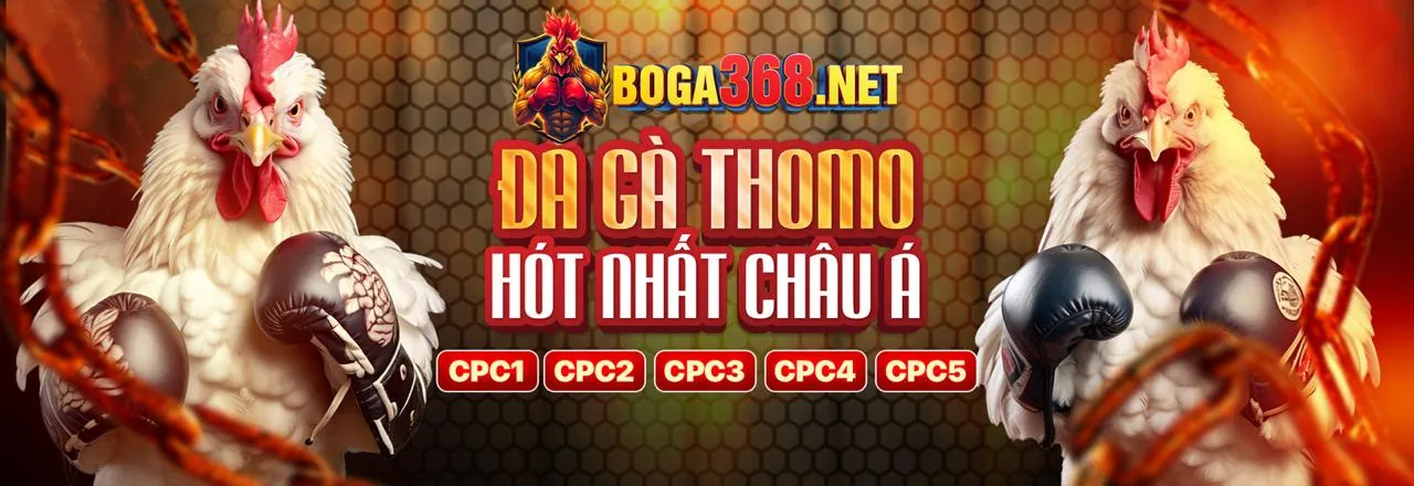 Hình ảnh chính hỗ trợ qh88 code